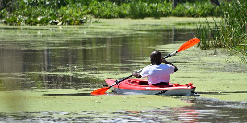 Kayaker at Mentor Lagoons