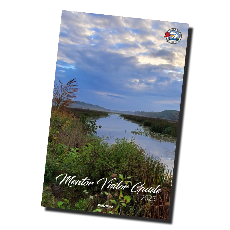An image of the front cover of the 2025 Mentor Visitor Guide.